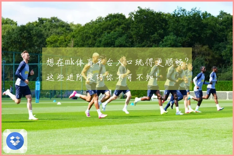 想在mk体育平台入口玩得更顺畅？这些进阶技巧你不可不知！