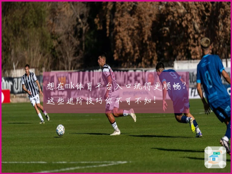 想在mk体育平台入口玩得更顺畅？这些进阶技巧你不可不知！
