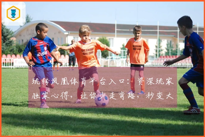 玩转凤凰体育平台入口：资深玩家独家心得，让你少走弯路，秒变大神！